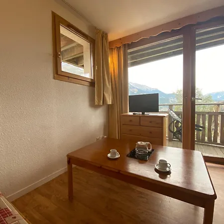 Nid Douillet Avec Superbe Vue A 100m Des Pistes Apartment *