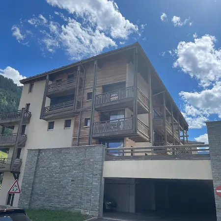 Nid Douillet Avec Superbe Vue A 100m Des Pistes Apartman *