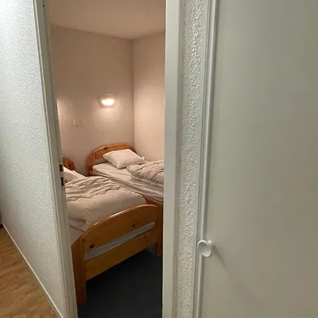Nid Douillet Avec Superbe Vue A 100m Des Pistes Apartman *